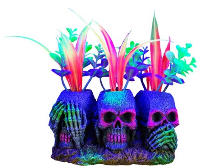 Marina iGlo 3 Skulls with Plants - Small